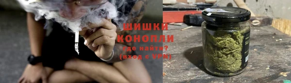 ПСИЛОЦИБИНОВЫЕ ГРИБЫ Алзамай