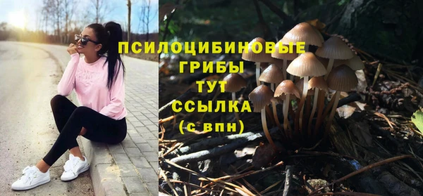 ALPHA PVP Новозыбков