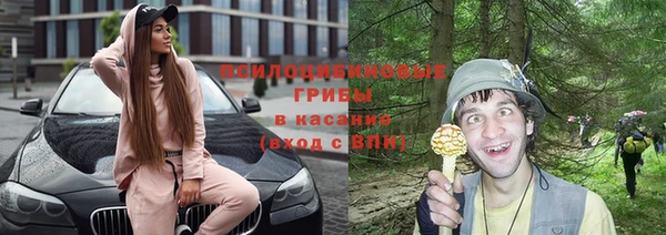 спиды Алексеевка
