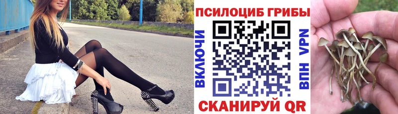 Галлюциногенные грибы мицелий нарко площадка наркотические препараты Новопавловск